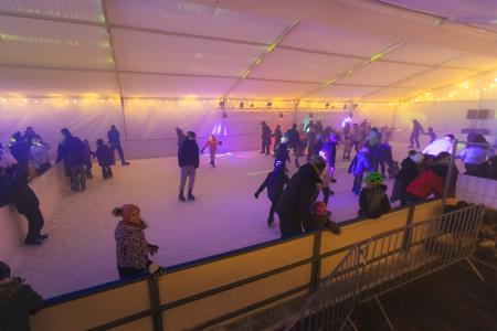 DECEMBER V OBČINI ŠKOFLJICA